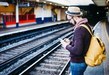 বোতলব্রাশ ফুল , এবং একটি বোকা পরী