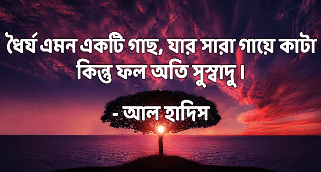 ধৈর্য্য ধারণ সম্পর্কে কোরআন ও হাদিসের বাণী। আল্লাহ ধৈর্যশীলদের পছন্দ করেন। Patience Quotes হাদিসের বাণী ছবি, আল্লাহ ধৈর্যশীলদের পছন্দ করেন, ধৈর্য্য উক্তি, বিপদ নিয়ে উক্তি, চেষ্টা সম্পর্কে হাদিস, ধৈর্যের ঘটনা, ধৈর্য ধারণ করার দোয়া, বিপদের হাদিস,