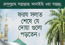 সহীহ হাদিসের আলোকে প্রত্যেক ফরজ নামাজ শেষে কিছু বিশেষ আমল। দোয়া-আমল এবং ইবাদাত আমল ও ইবাদাত, দোয়া ও আমল, প্রত্যেক ফরজ নামাজ শেষে কিছু বিশেষ আমল, সহীহ হাদিসের আলোকে প্রত্যেক ফরজ নামাজ শেষে কিছু বিশেষ আমল,দোয়া-আমল এবং ইবাদাত