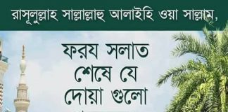 সহীহ হাদিসের আলোকে প্রত্যেক ফরজ নামাজ শেষে কিছু বিশেষ আমল। দোয়া-আমল এবং ইবাদাত আমল ও ইবাদাত, দোয়া ও আমল, প্রত্যেক ফরজ নামাজ শেষে কিছু বিশেষ আমল, সহীহ হাদিসের আলোকে প্রত্যেক ফরজ নামাজ শেষে কিছু বিশেষ আমল,দোয়া-আমল এবং ইবাদাত