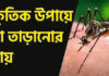 ঘর থেকে মশা তাড়ানোর সহজ মাধ্যম কী? ক্ষতিকর মশার কয়েল ছাড়াই কীভাবে ঘরোয়া উপায়ে মশা তাড়ানো যায়? ঘর থেকে মশা তাড়ানোর সহজ মাধ্যম কী, ক্ষতিকর মশার কয়েল ছাড়াই কীভাবে ঘরোয়া উপায়ে মশা তাড়ানো যায়.