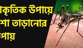 ঘর থেকে মশা তাড়ানোর সহজ মাধ্যম কী? ক্ষতিকর মশার কয়েল ছাড়াই কীভাবে ঘরোয়া উপায়ে মশা তাড়ানো যায়? ঘর থেকে মশা তাড়ানোর সহজ মাধ্যম কী, ক্ষতিকর মশার কয়েল ছাড়াই কীভাবে ঘরোয়া উপায়ে মশা তাড়ানো যায়.