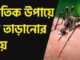 ঘর থেকে মশা তাড়ানোর সহজ মাধ্যম কী? ক্ষতিকর মশার কয়েল ছাড়াই কীভাবে ঘরোয়া উপায়ে মশা তাড়ানো যায়? ঘর থেকে মশা তাড়ানোর সহজ মাধ্যম কী, ক্ষতিকর মশার কয়েল ছাড়াই কীভাবে ঘরোয়া উপায়ে মশা তাড়ানো যায়.